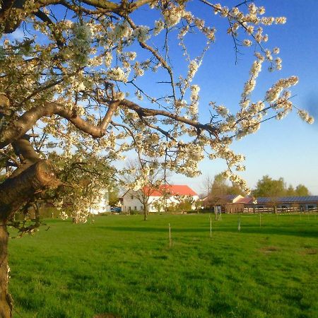 Ferienwohnung Zweinig 01 Εξωτερικό φωτογραφία